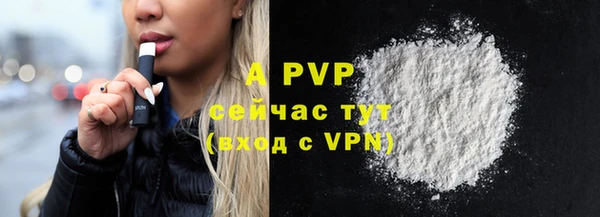 твердый Ельня