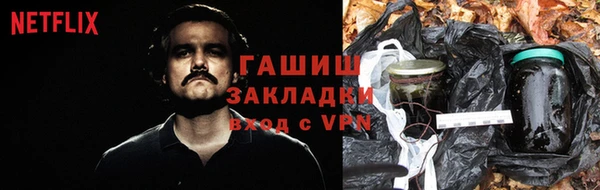 твердый Ельня