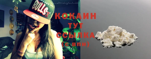 твердый Ельня