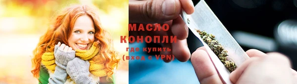 твердый Ельня
