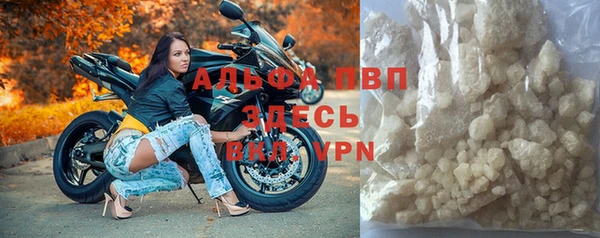 твердый Ельня
