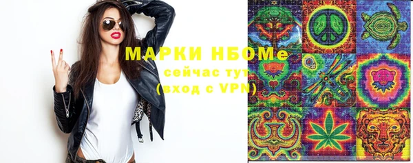 индика Заволжье