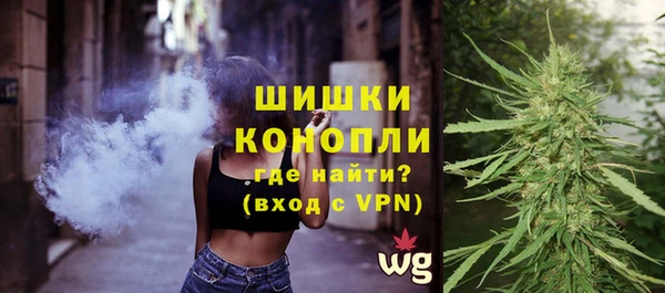 твердый Ельня