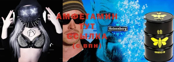 твердый Ельня