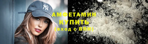твердый Ельня