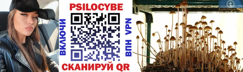 Псилоцибиновые грибы мицелий  Купить  Задонск 