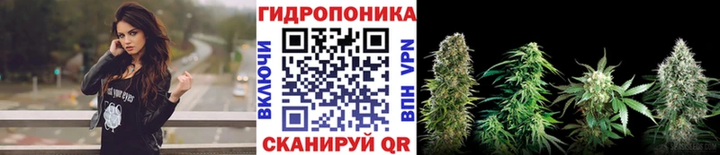 Купить где  Задонск  Канабис SATIVA & INDICA 